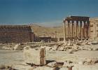 96-Palmyra4