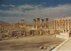 96-Palmyra6