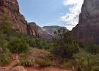 DSC 3043  Zion NP : USA