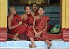 DSC 9152  Yangon (Shwedagon Paya)