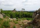 DSC02550  Harz juli 2015