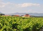 DSC 1142  Rioja : Spanje, Santo Domingo